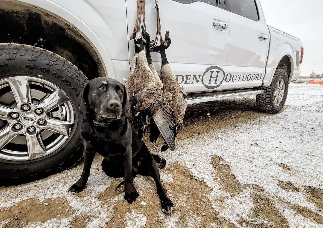 Waterfowl Hunting Land For Sale Hayden Outdoors