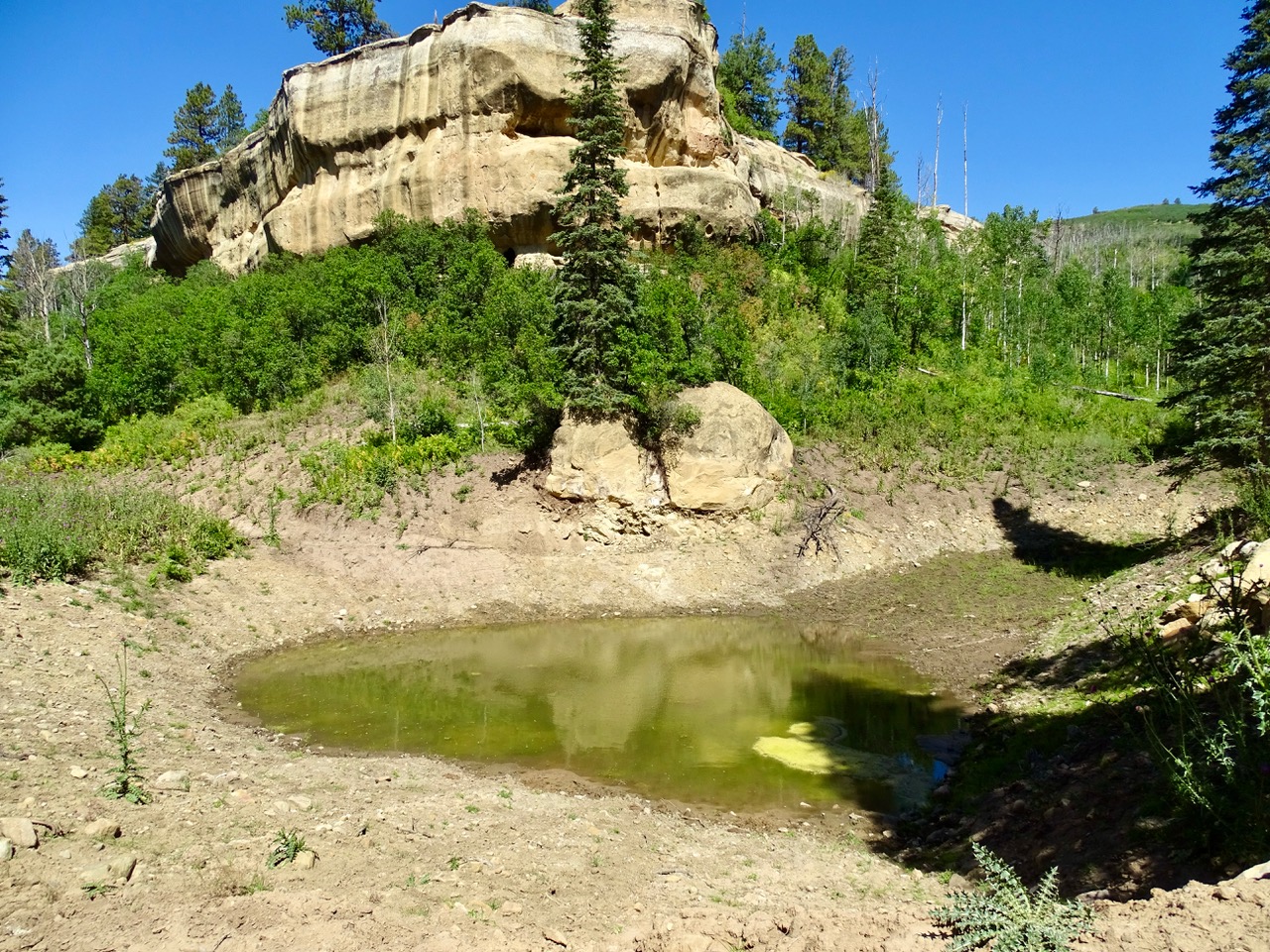 Pond Rock Elk and Cattle Ranch Hayden Outdoors