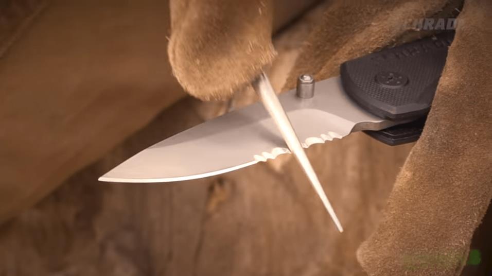 Serrated vs Nonserrated Steak Knives HDMD Knives Blog
