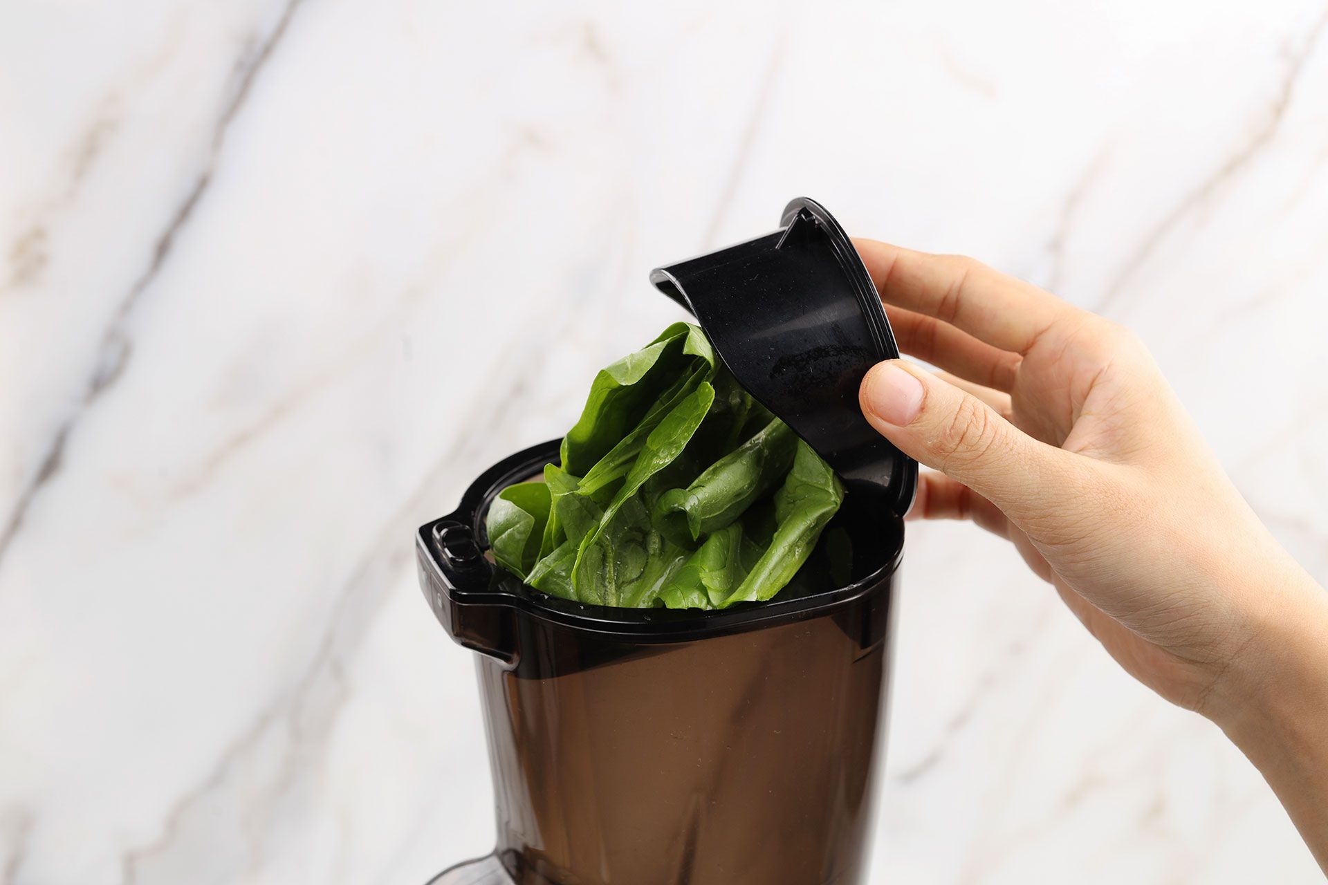 Spinach Juice Recipe A Quick way To Sneak Vitamins Into Your Meals