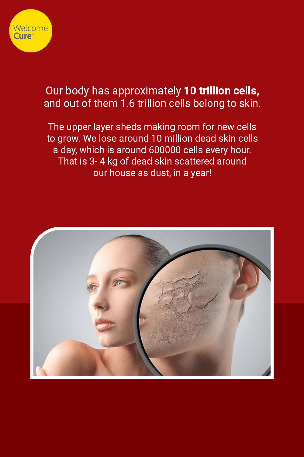 The Quick Regeneration Of Dead Skin Cells Heidi Salon