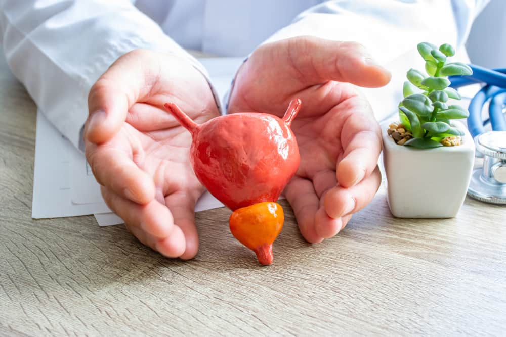 How To Keep The Prostate Gland Healthy: What Men Need To Know