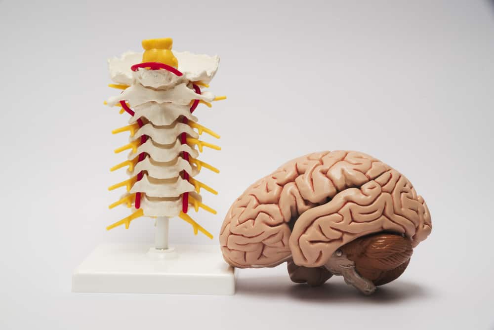 Brain and Spine Disorders Everything You Need to Know