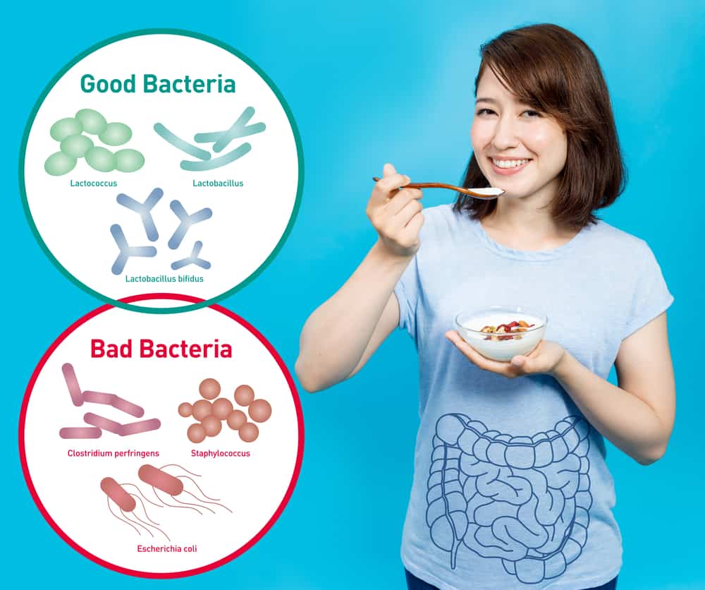 How Do Probiotics and Prebiotics Work Together? Hello Doctor