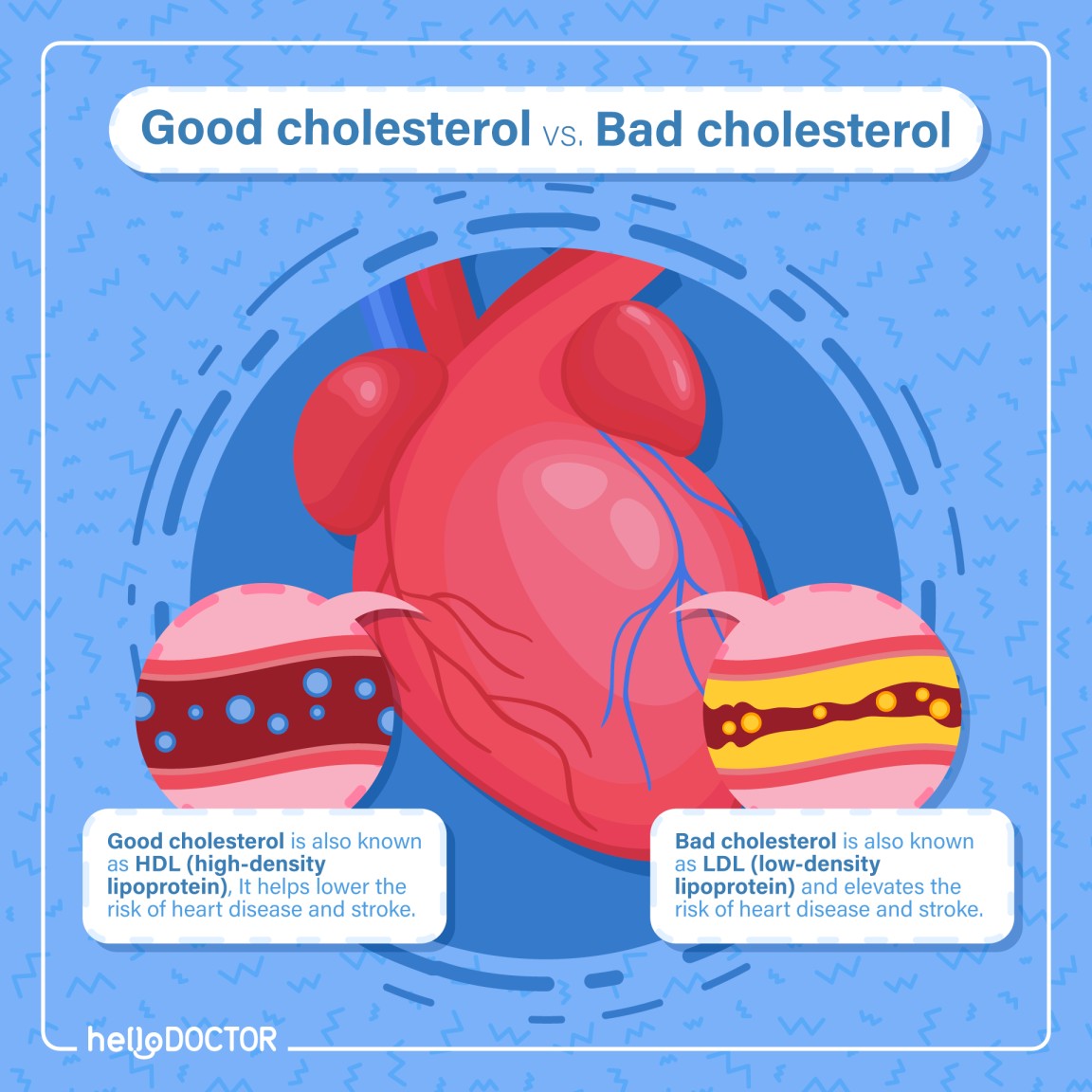 Good Cholesterol Foods How to Boost Your HDL Levels Through Diet