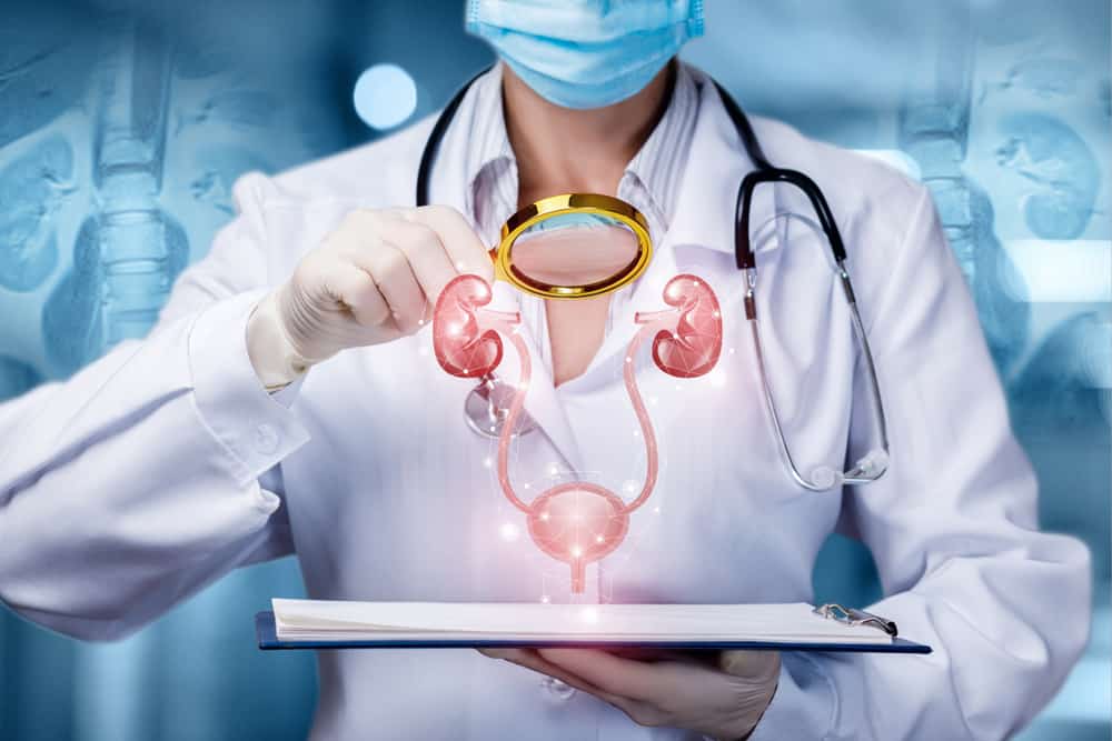 The Kidney Punch Test What Is It and How Is It Done?