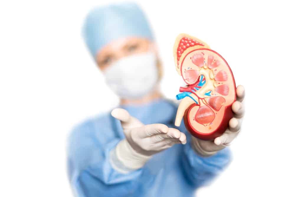 Kidney Transplant in the Philippines What to Expect Hello Doctor