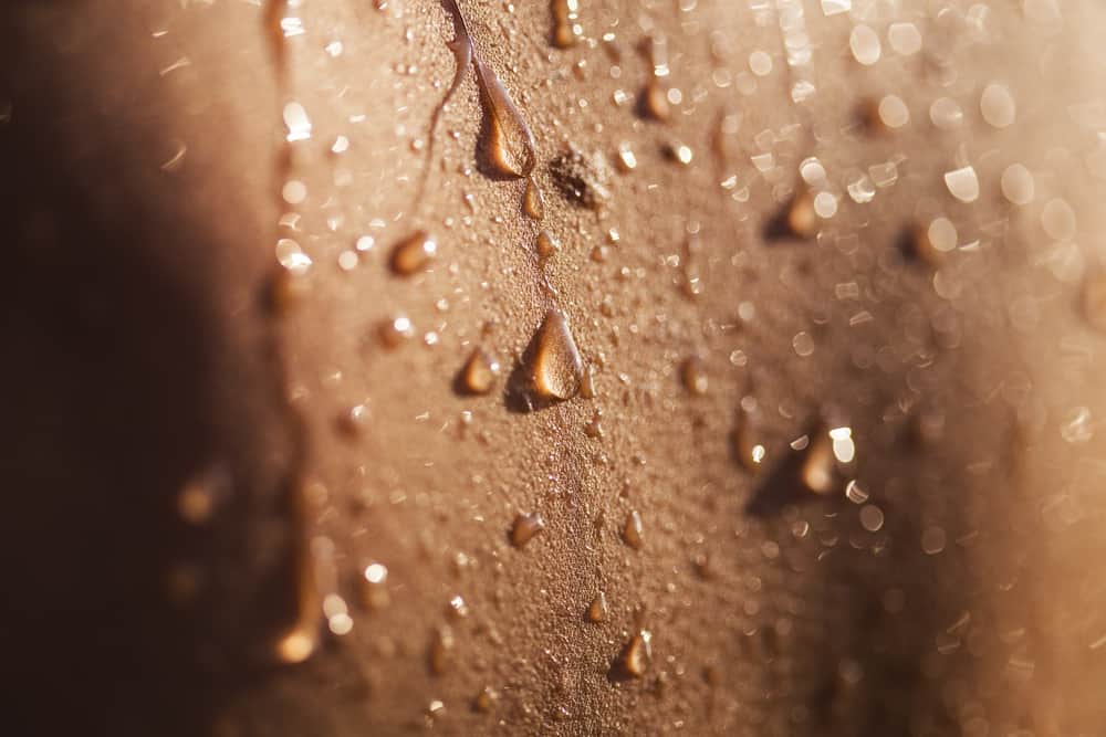 Moist Skin What Diseases Develop If You Don’t Dry Your Skin?