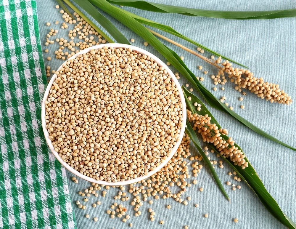 Mengenal 6 Manfaat Sorgum, Pengganti Nasi Kaya Nutrisi | Hello Sehat
