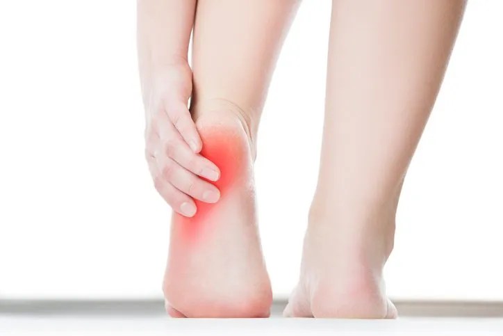 6 Bahan Alami Yang Manjur Atasi Sakit Akibat Taji Tumit Kegunaan Efek Samping Interaksi Hello Sehat