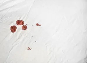 Darah Haid Warna Cokelat, Apakah Ini Normal? - Hello Sehat