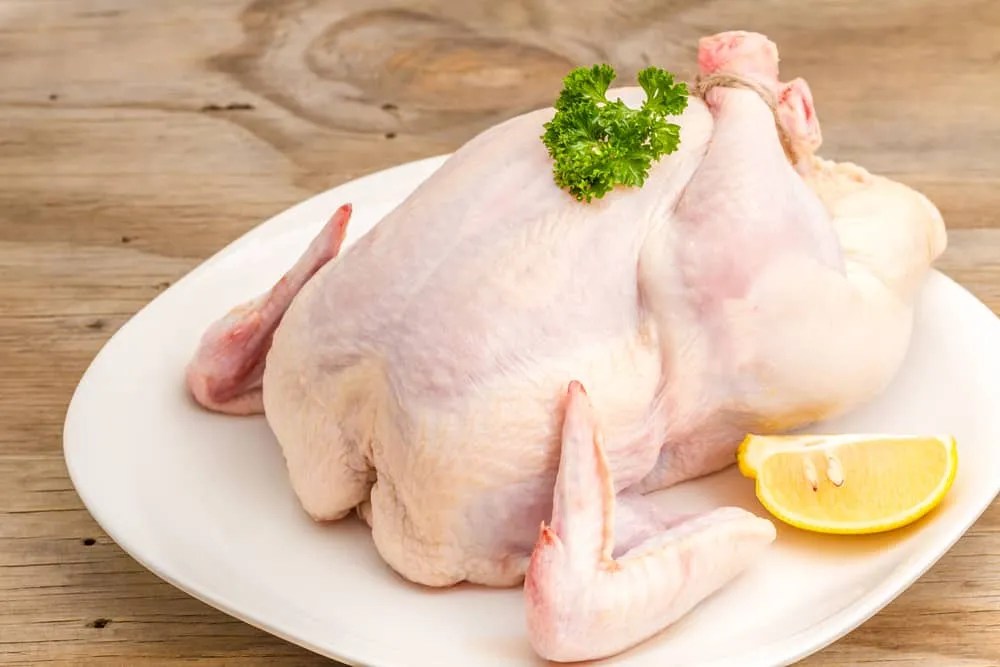 Rib Adalah Bagian Ayam Supplier Daging Sapi Ayam Potong