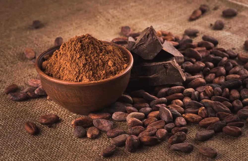 10 Manfaat Kakao (Biji Coklat) Bagi Kesehatan Tubuh
