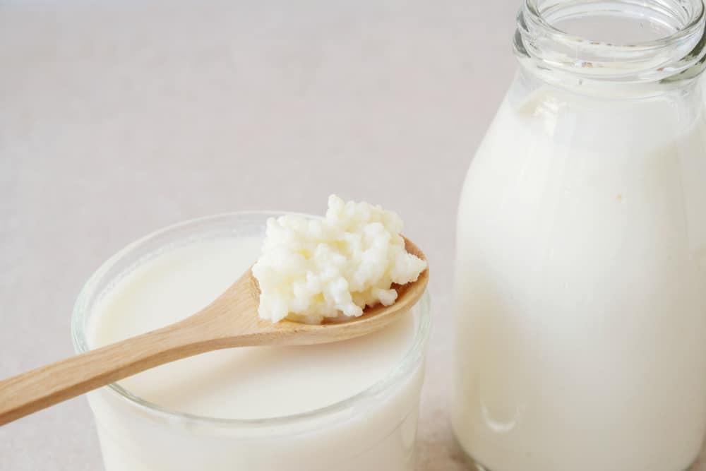 Cara Membuat Susu Kefir Kumpulan Cara Terbaru 2022
