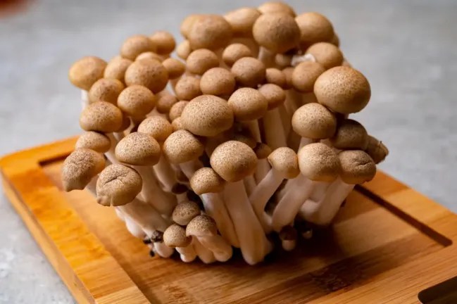 7 Manfaat Jamur Shimeji Yang Bergizi Tinggi | Hello Sehat