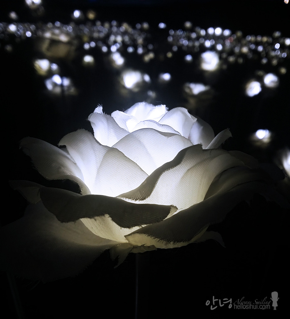 Dongdaemun Design Plaza LED Rose Garden hellosihui