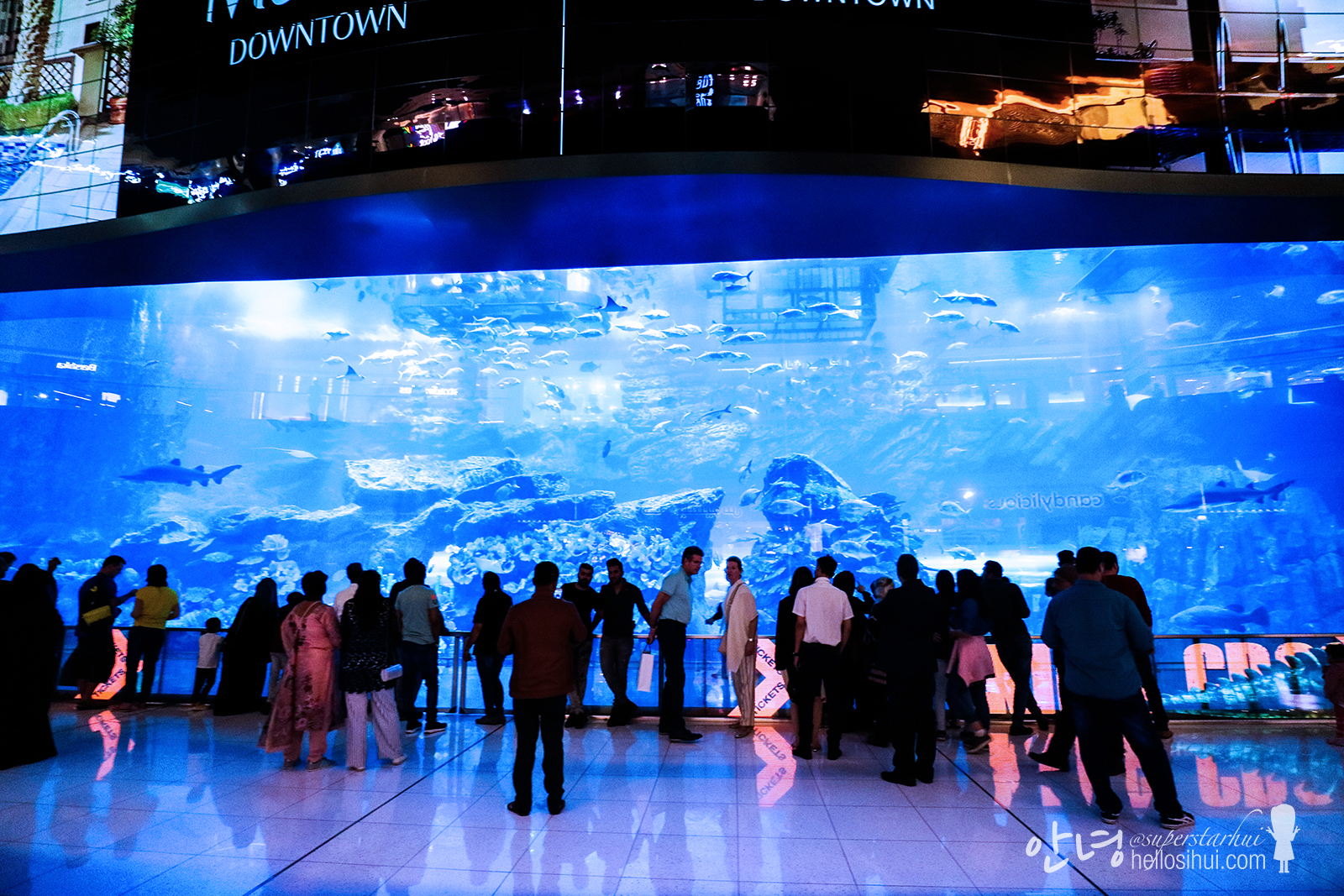 HELLO DUBAI AGAIN DAY 3 Dubai Mall + Cheesecake Factory hellosihui