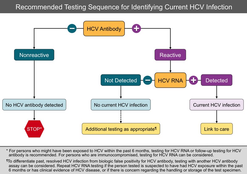 SelfAssessment Screening and Diagnosis of Hepatitis C Infection