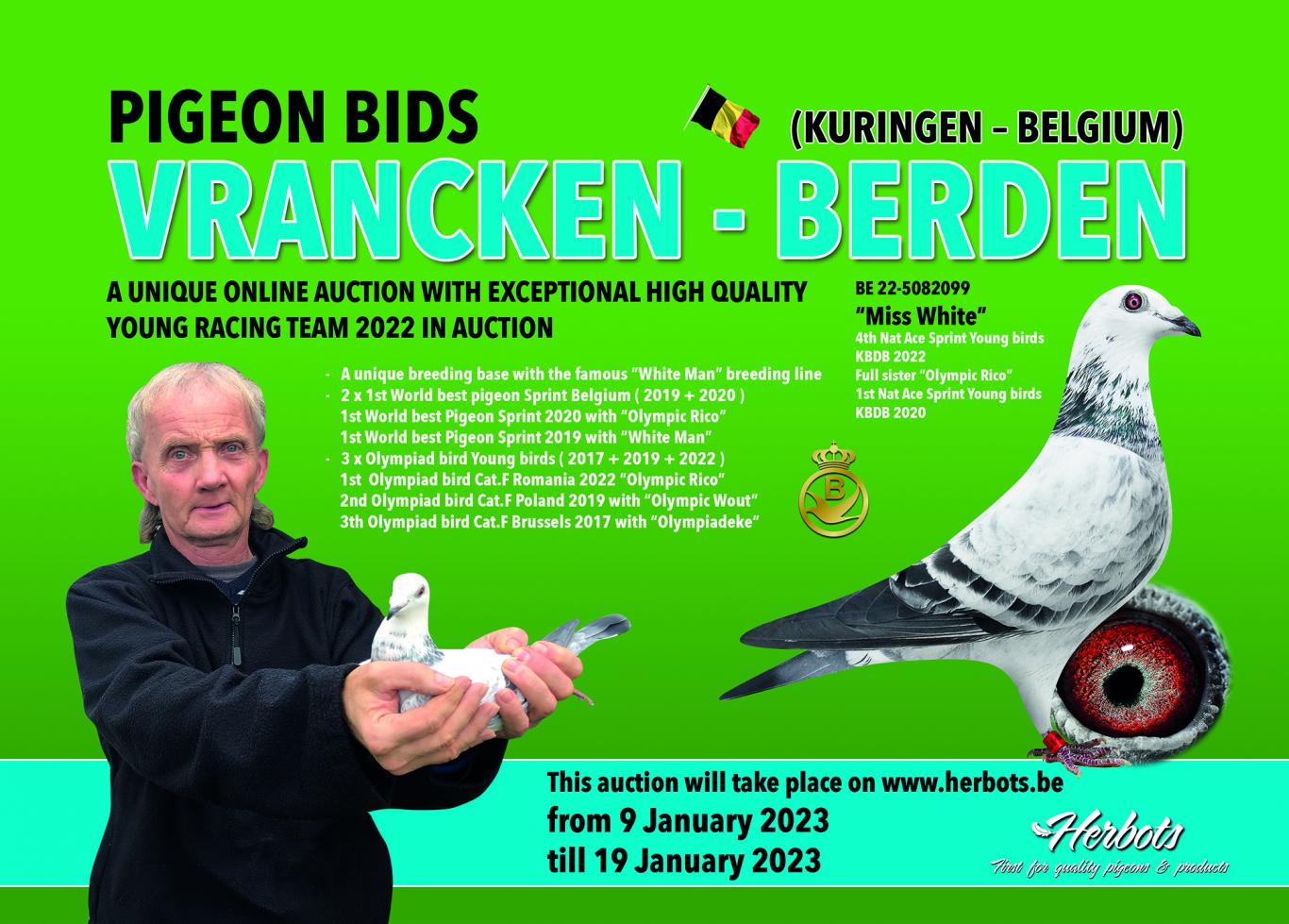 Herbots Vrancken Berden from Kuringen has a golden breeding line