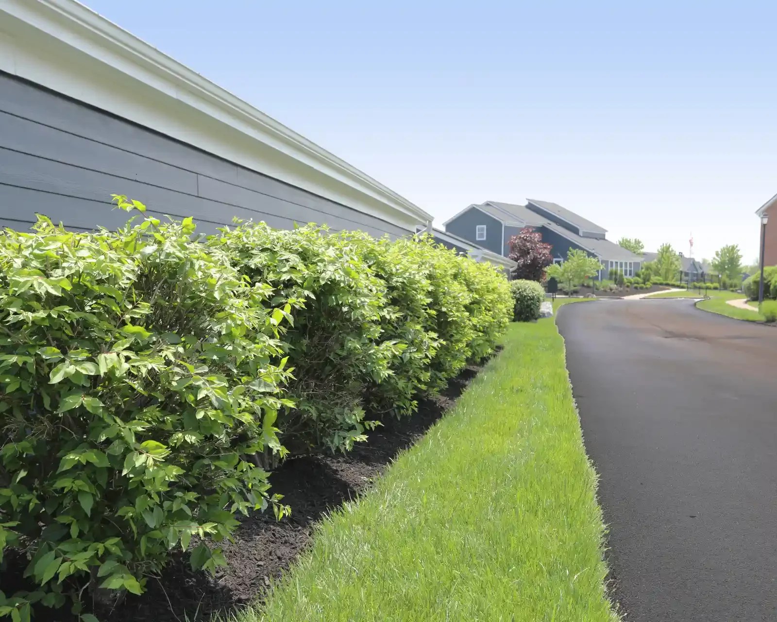 Apartments & Townhomes in Beavercreek, OH near The Greene