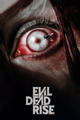 Top 60 Best Evil Dead Rise Wallpapers in 2024 (Updated)