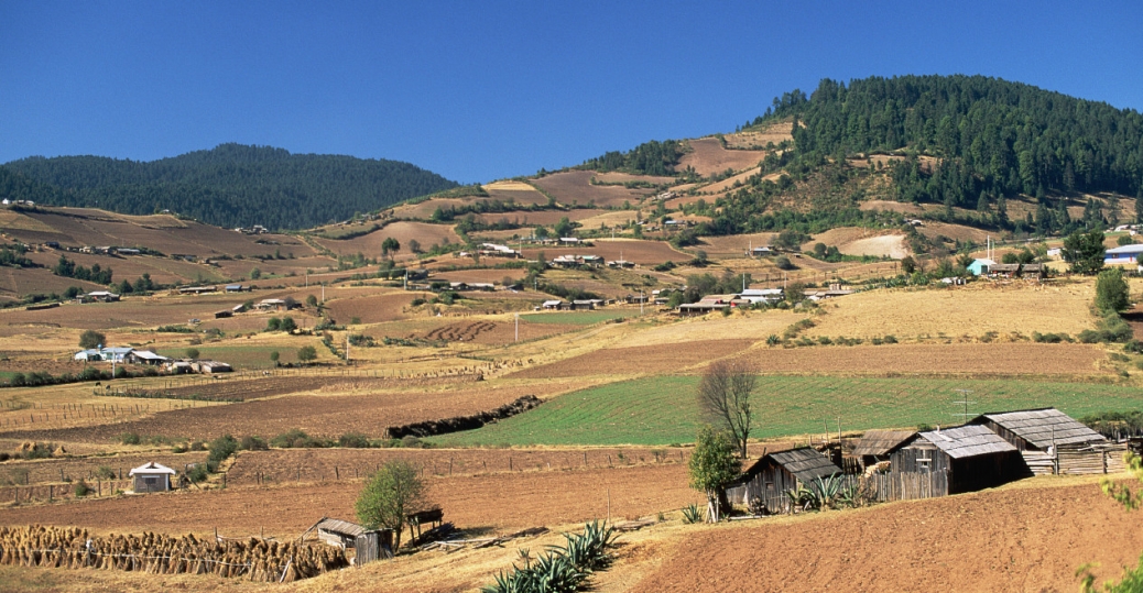farmlandofnativeculturesoutsidesanjosedelrincon Mexico State