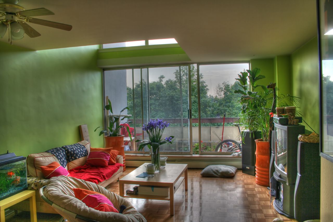 Plants inside rooms
