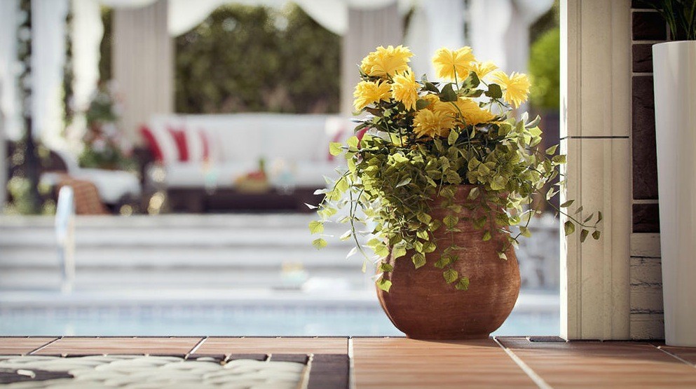 Dreamy Spaces Rendered By Muhammad Taher