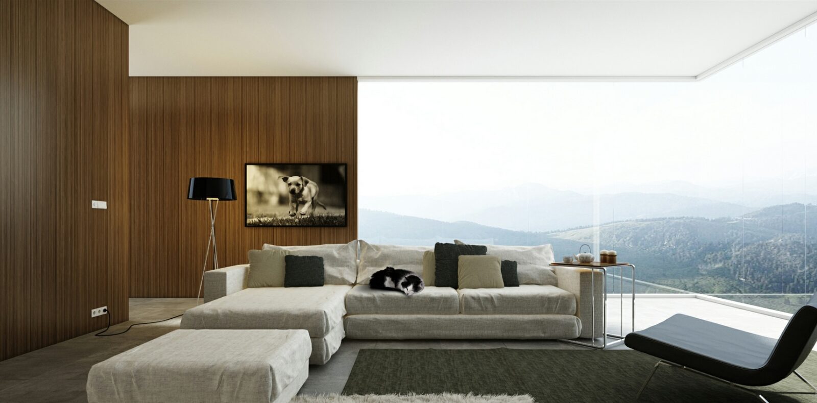 Living Rooms With Great Views