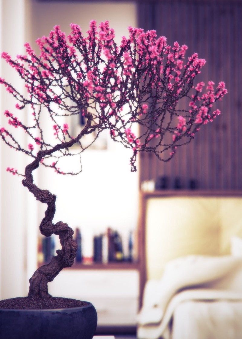 Bonsai In Interior Settings