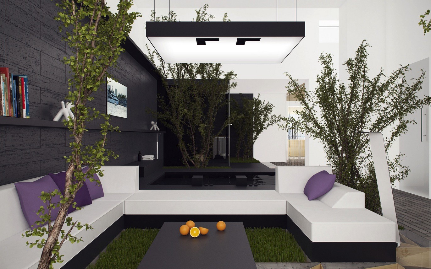 Grass rug Interior Design Ideas