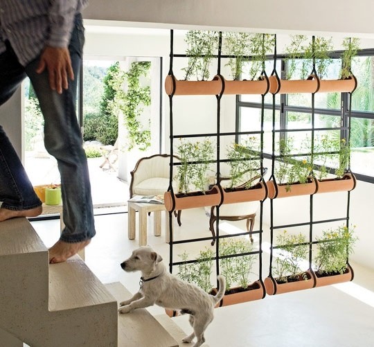 hanging plant divider Interior Design Ideas