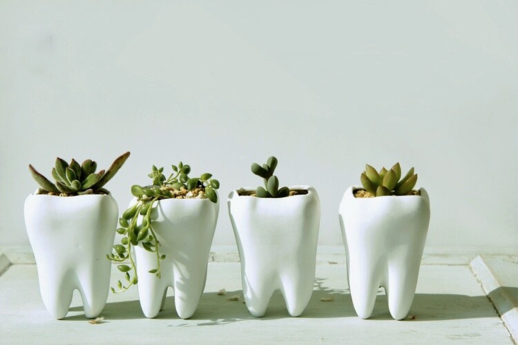 50 Unique Pots & Planters You Can Buy Right Now