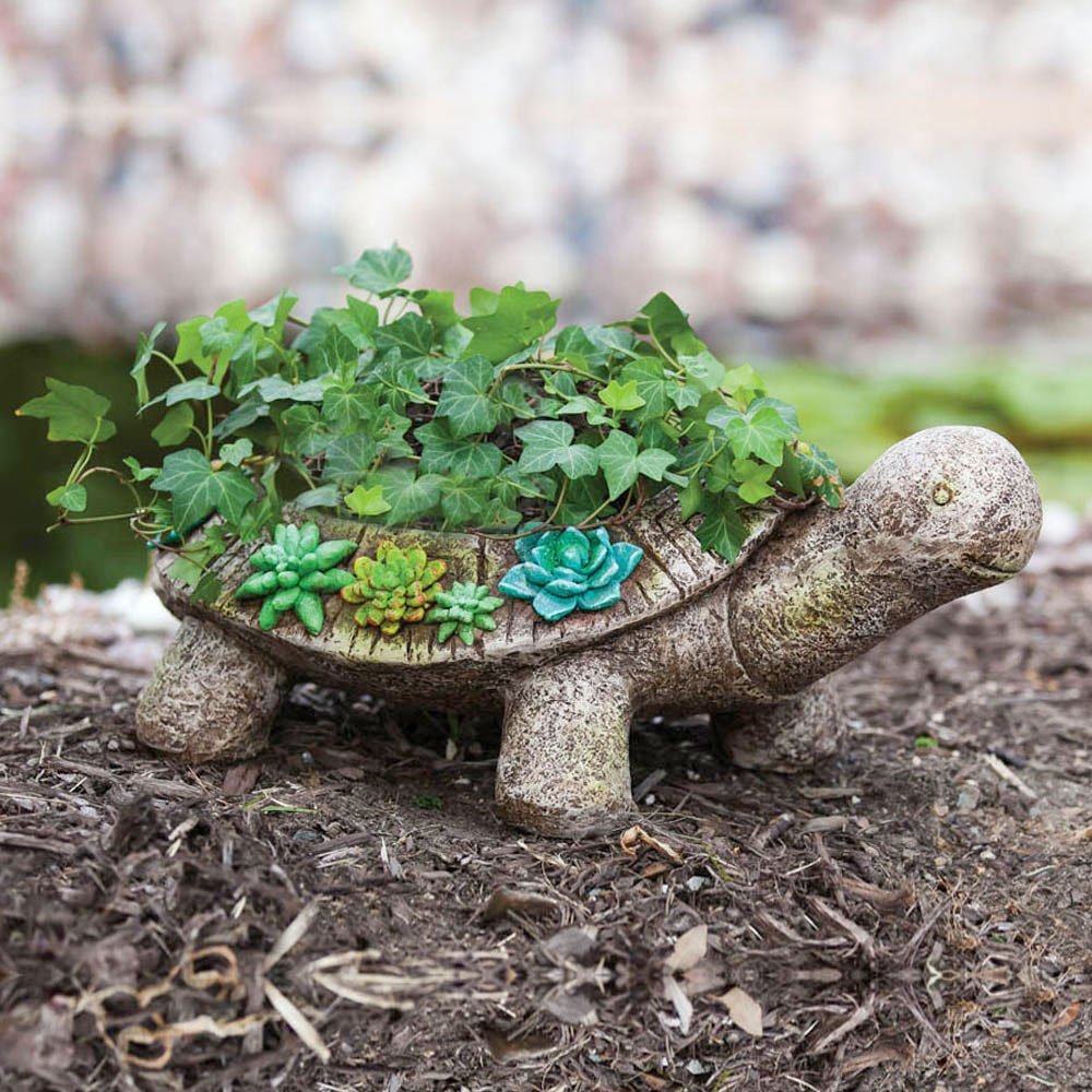 turtleplanter Interior Design Ideas.