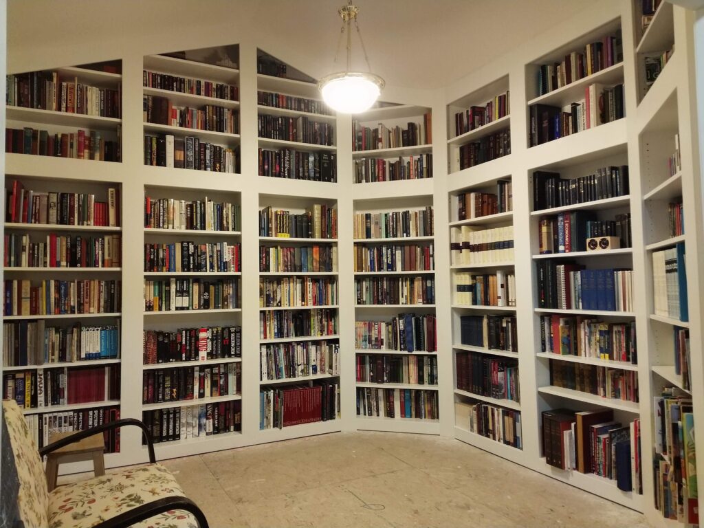 Save Your Bookshelves With These Organizations Tips