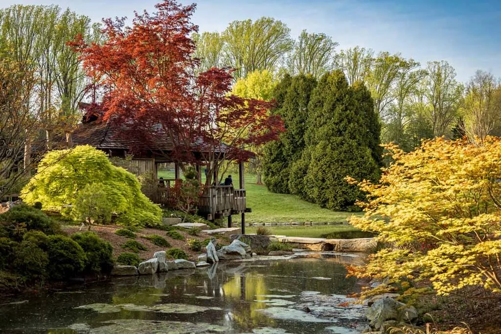 Top 10 Pros and Cons of Living in Silver Spring, MD 2024