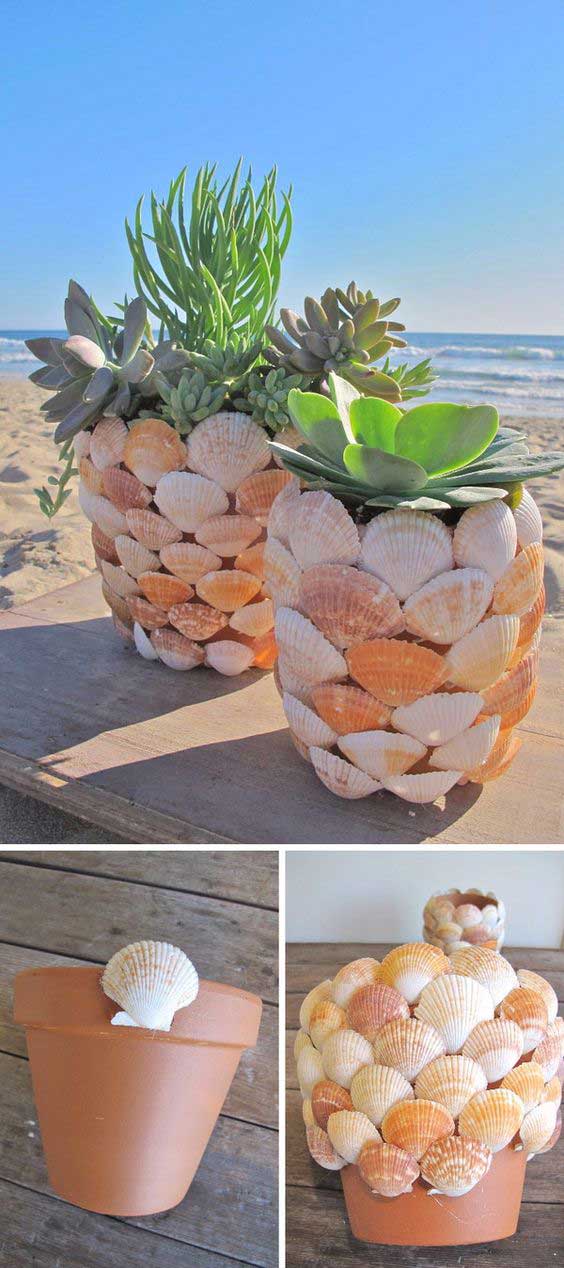 35 Best DIY Shell Projects (Ideas and Designs) for 2017