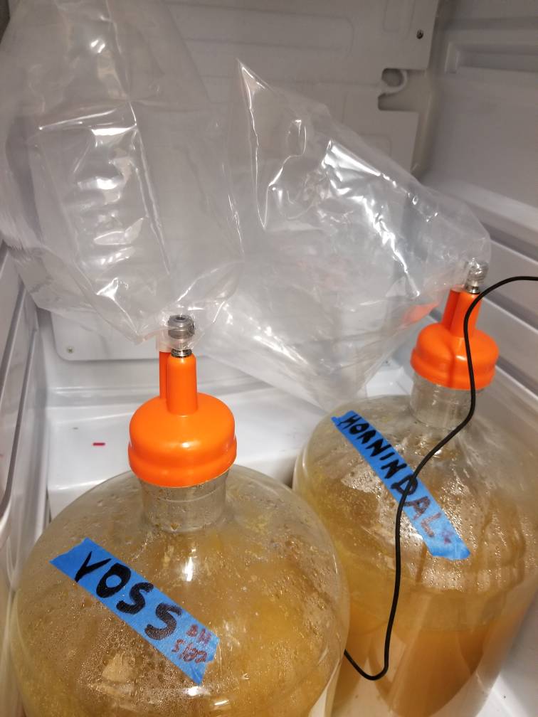 Bunging the fermentation vessel to avoid oxidation during cold crashing