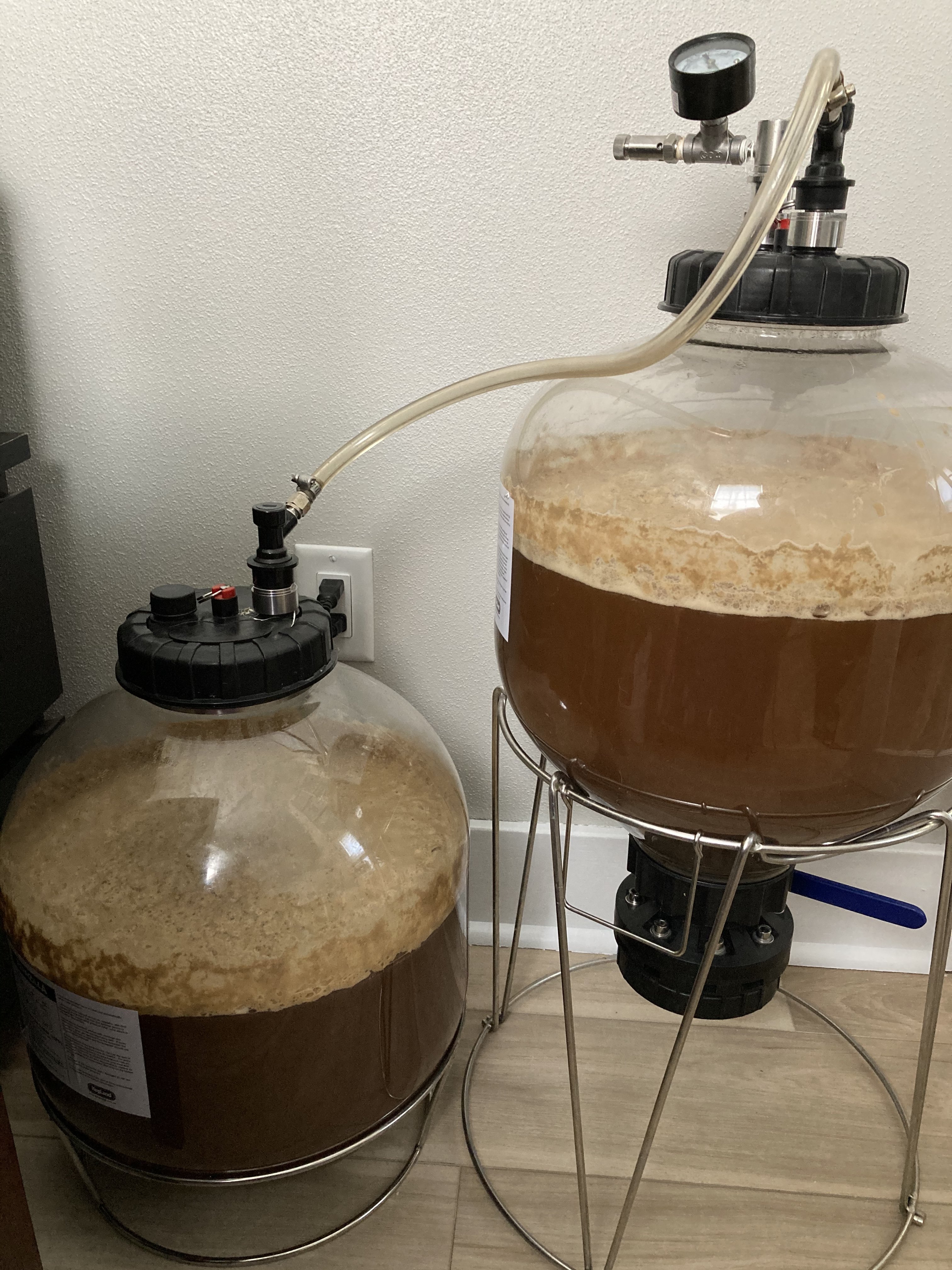 Yeast Autolysis at Lager Temps? Homebrew Talk Beer, Wine, Mead