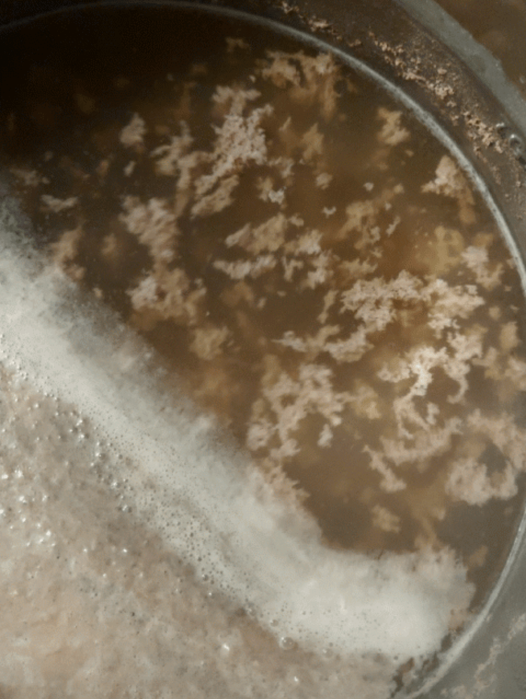 Skimming hot break poll Page 2 Homebrew Talk Beer, Wine, Mead