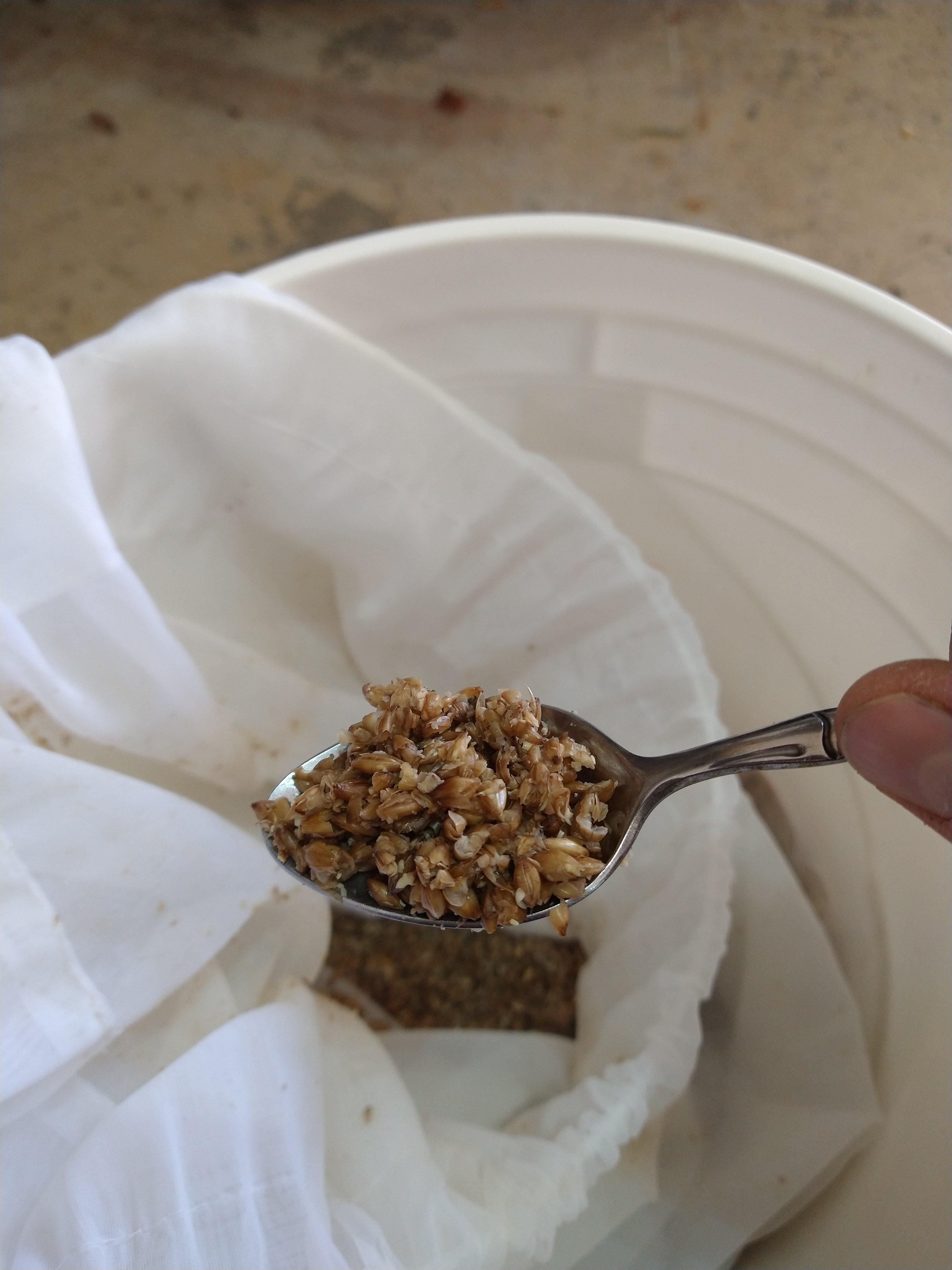 First BIAB batch; really low preboil gravity Homebrew Talk Beer