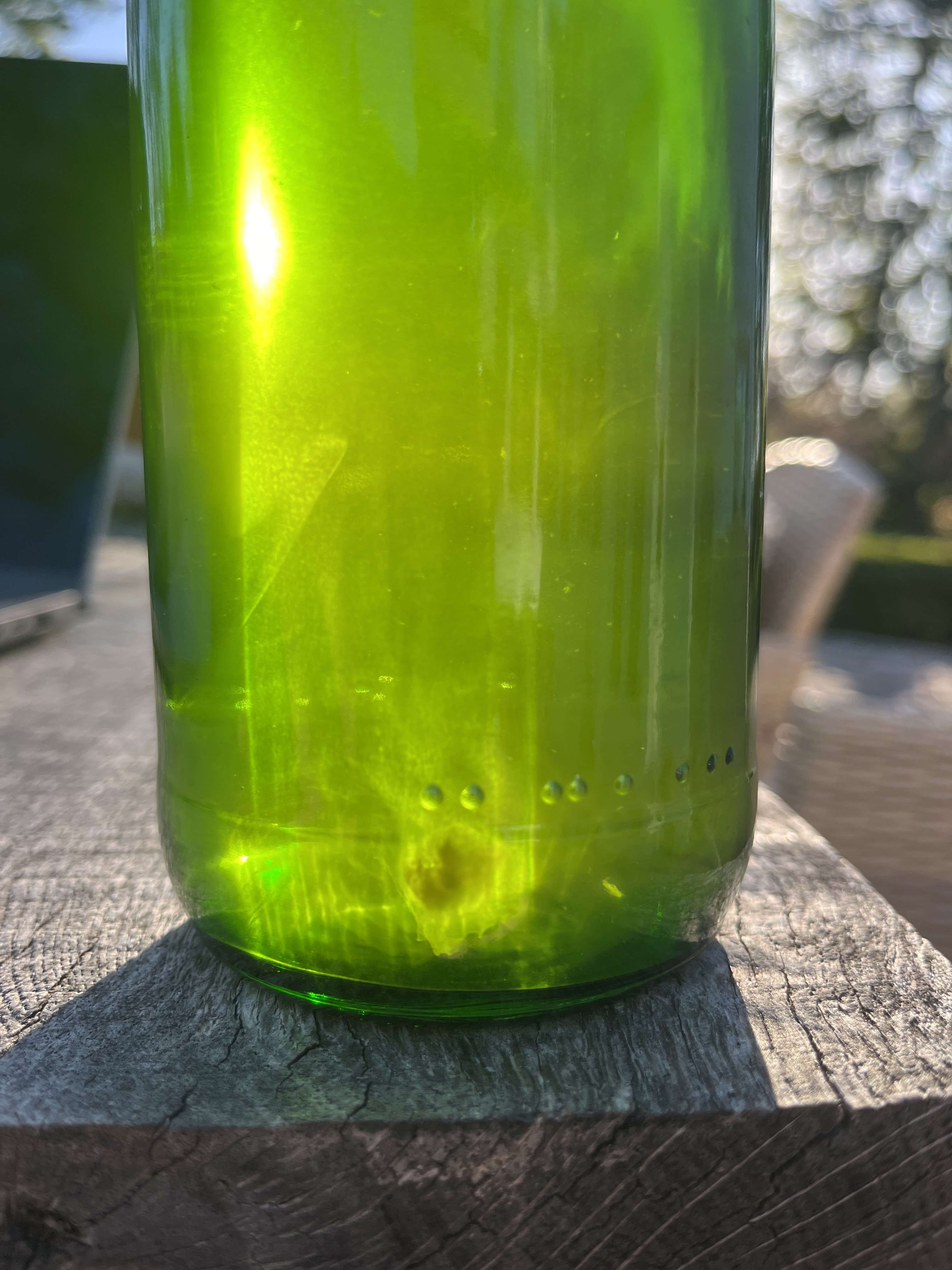 Postbottling Residue Homebrew Talk Beer, Wine, Mead, & Cider