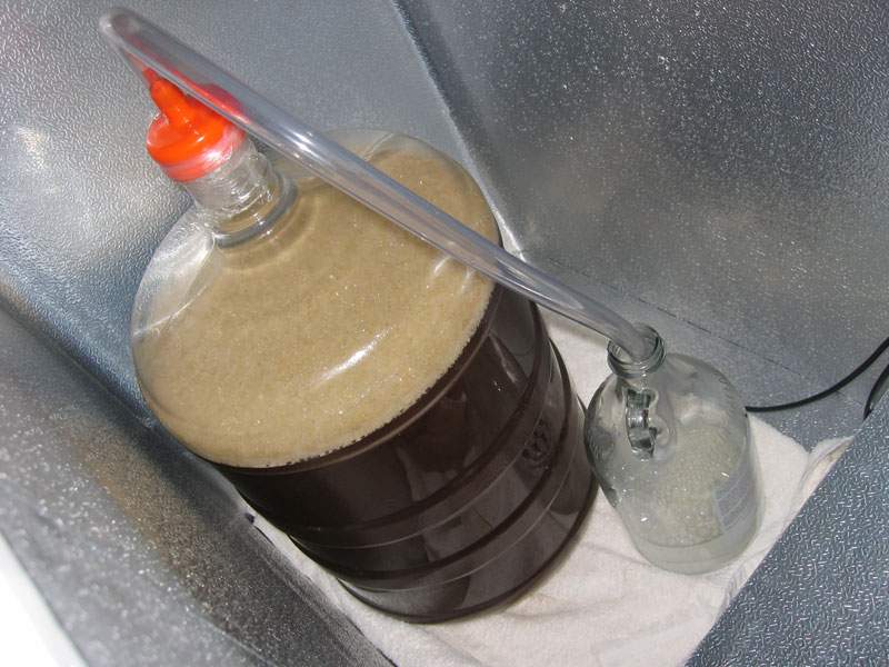 Blow off tube set ups Homebrew Talk Beer, Wine, Mead, & Cider