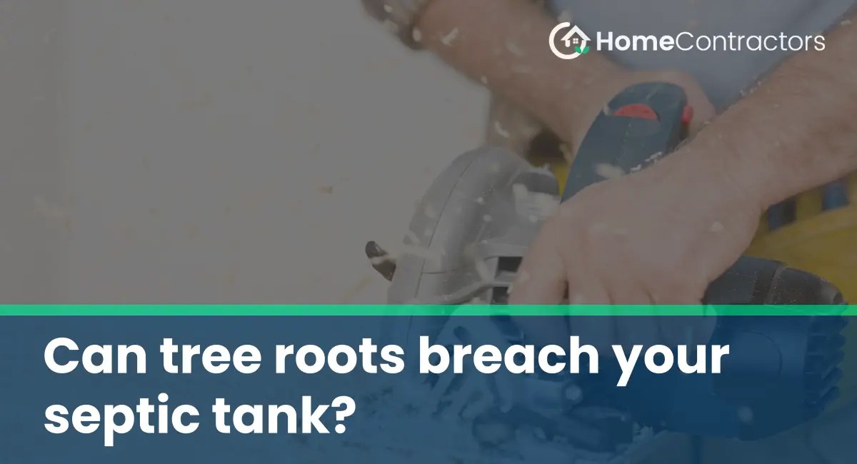 Can tree roots breach your septic tank?