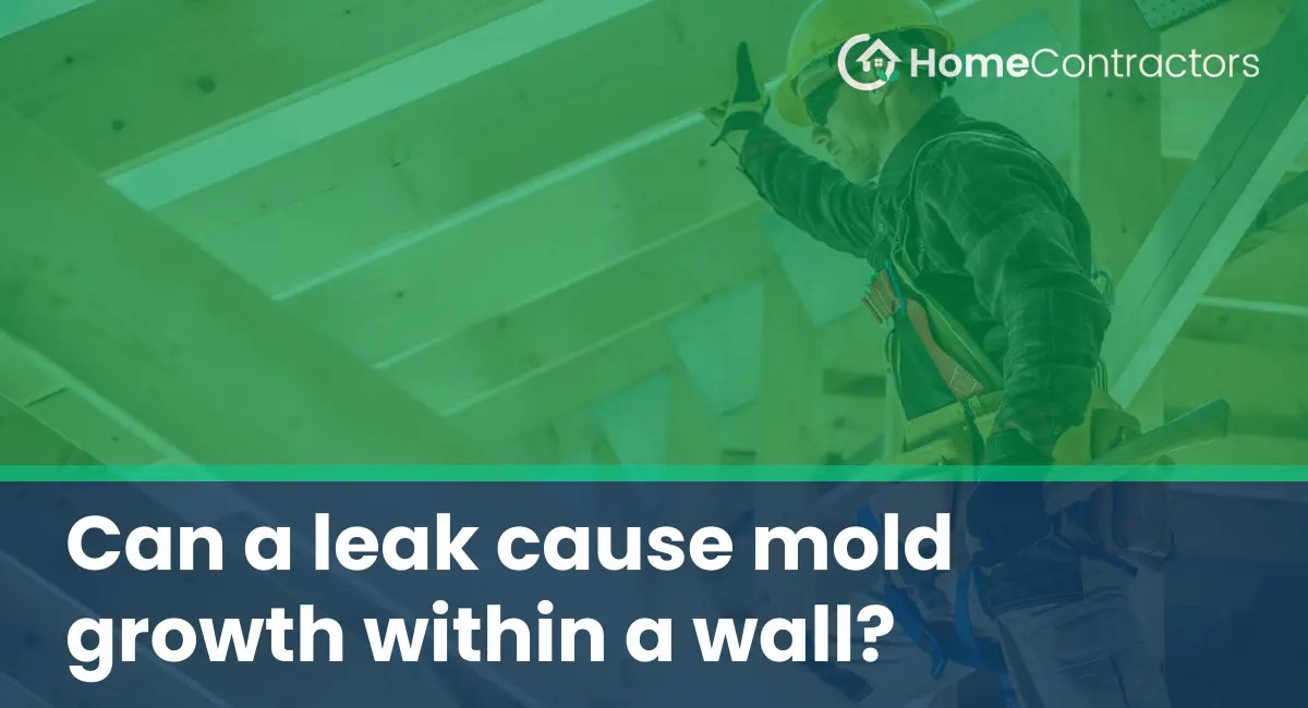 Can a leak cause mold growth within a wall?