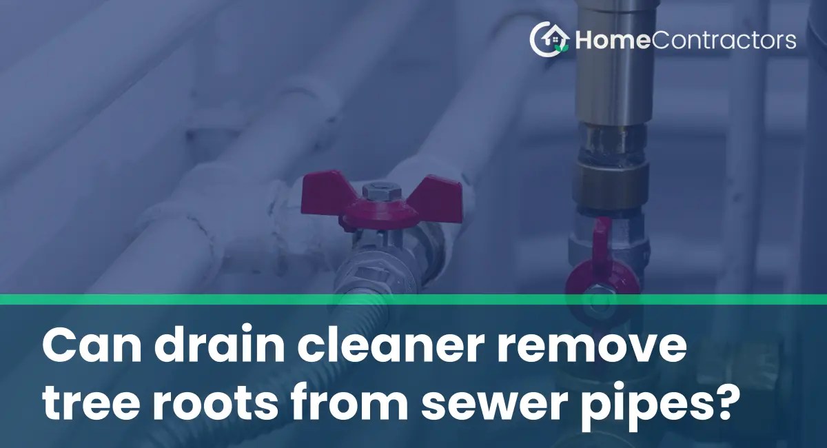 Can drain cleaner remove tree roots from sewer pipes?