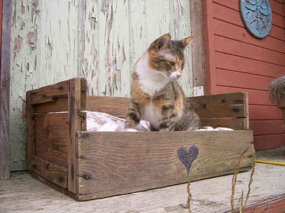 Day 5 Pallet possibilities