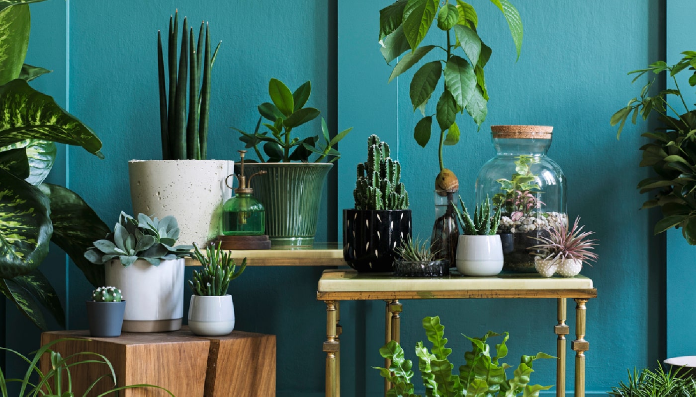 Awesome Plant Stand Concepts For Your Indoor Greenery
