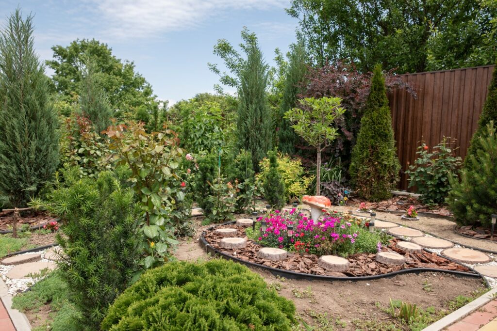 Fast Growing Shade Trees For Any Yard