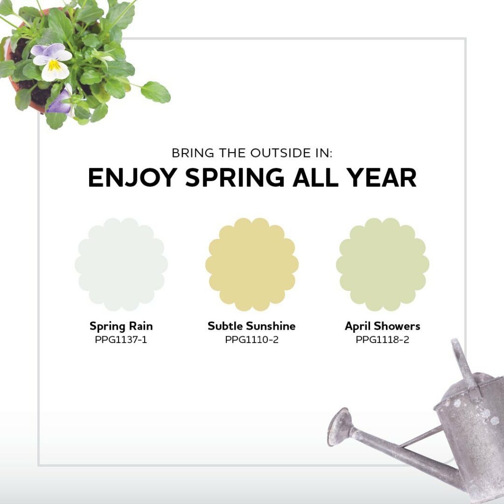 Best Paint Brands For Your Indoor And Outdoor Surfaces